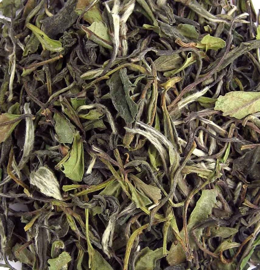 Golden Pai Mu Tan