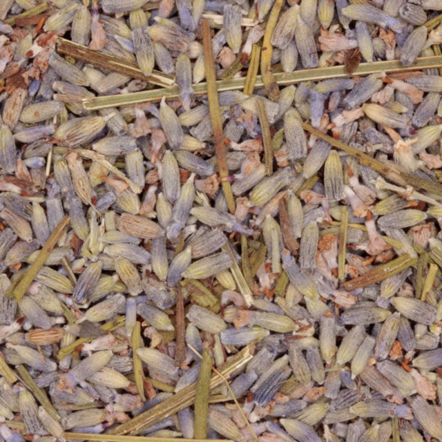 Lavendel (bio)
