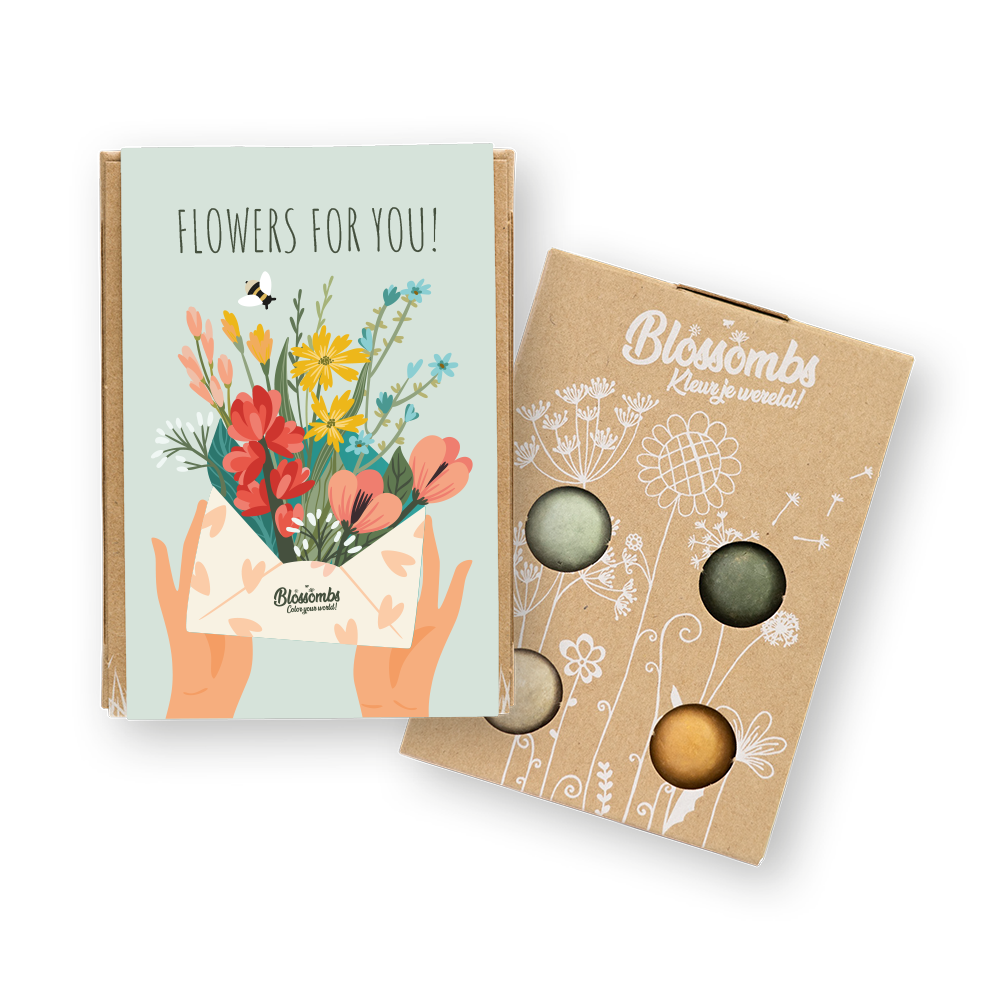 Gift Box met 4 Bloemzaadbommetjes - Flowers for you