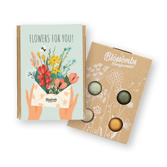 Gift Box met 4 Bloemzaadbommetjes - Flowers for you