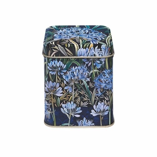 Theeblik Agapanthus