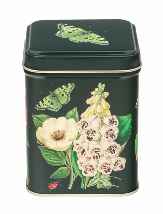 Theeblik Botanisch