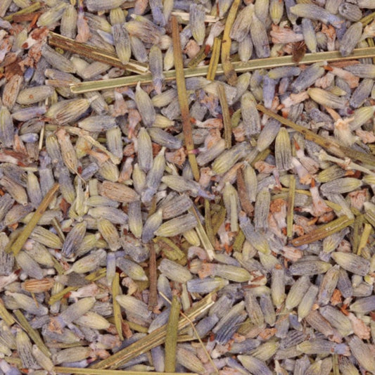 Lavendel (bio)