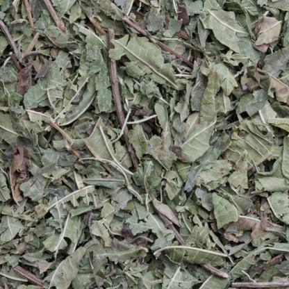 Verveine (Citroenverbena) (bio)