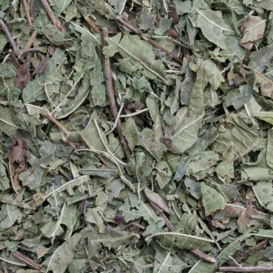 Verveine (Citroenverbena) (bio)
